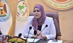 مصطفى سند : مدير عام الغذائية بوزارة التجارة مسنودة من الدولة العميقة